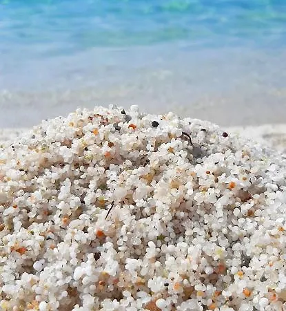 Lejlighed Elicriso Yenne *