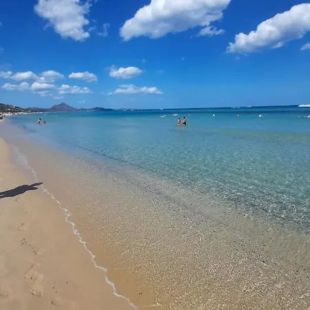 Daire Elicriso Yenne