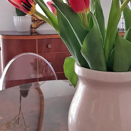 Elicriso Yenne Apartment