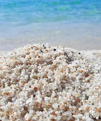 Apartment Elicriso Yenne *